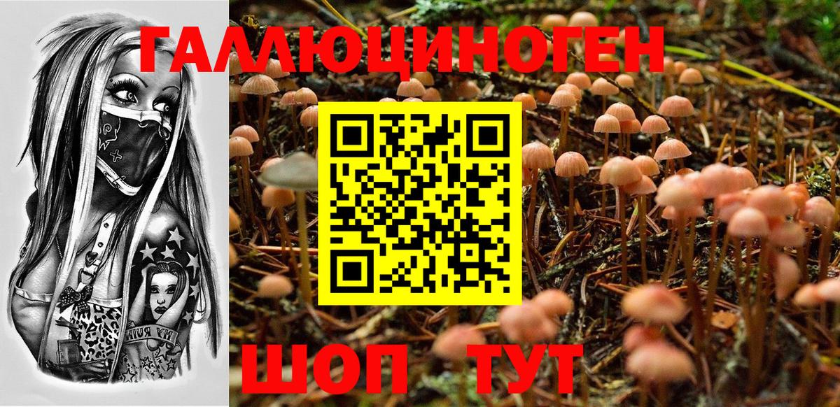 что такое   Псилоцибиновые грибы Cubensis  Можайск  Вход с VPN  Псилоцибиновые грибы MAGIC MUSHROOMS 
